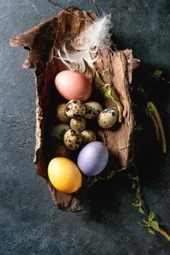 Quail Easter eggs in nest Stock Photos