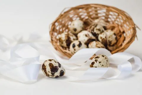 Quail egg on the background of a basket with a group of eggs and white ribbon Foto stock