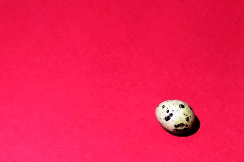 Quail egg bottom right on a red background Stock Photos