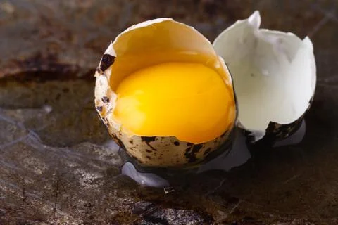 Quail egg broken on rustic table Stock Photos
