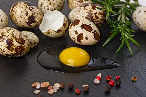 Quail egg broken on the table with another eggs and rosemarin, pepper Stock Photos