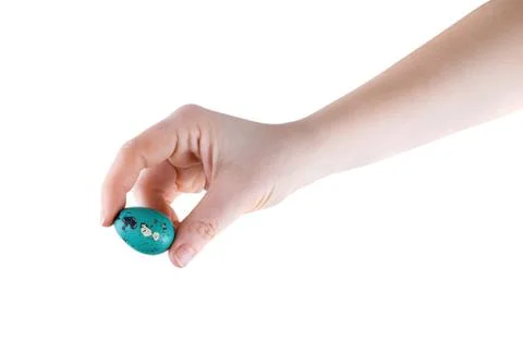 Quail egg in the hand Stock Photos