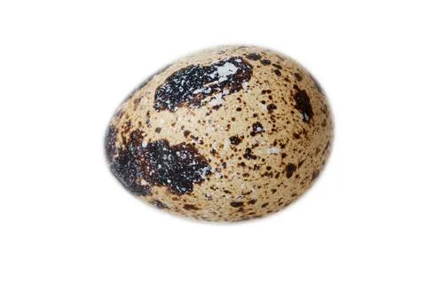 Quail egg isolated on clean white surface for design or food use Foto stock