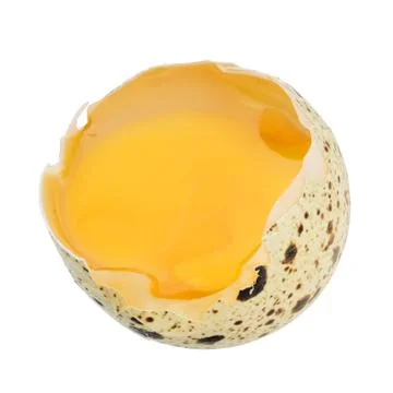 Quail egg isolated Stock Photos