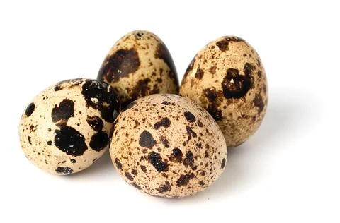 Quail egg isolated on white background. Stock Illustration