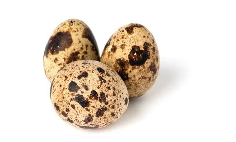 Quail egg isolated on white background. Stock Illustration