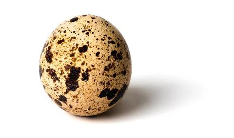 Quail egg isolated on white background. Stock Illustration