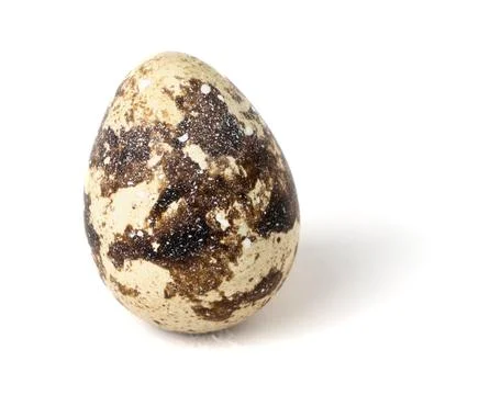 Quail egg isolated on white background. Stock Illustration