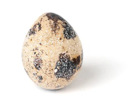 Quail egg isolated on white background. Stock Illustration