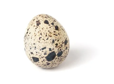 Quail egg isolated on white background. Stock Illustration