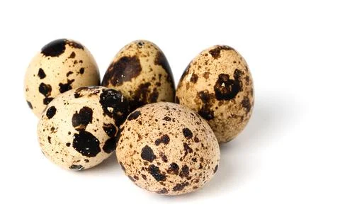 Quail egg isolated on white background. Stock Illustration