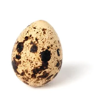 Quail egg isolated on white background. Stock Illustration