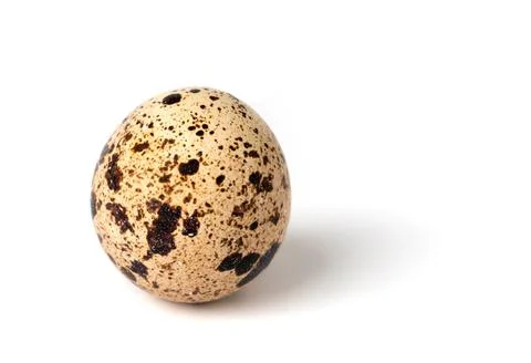 Quail egg isolated on white background. Stock Illustration
