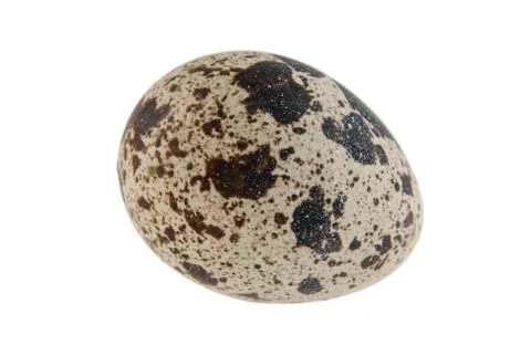 Quail egg isolated on white background Stock Photos
