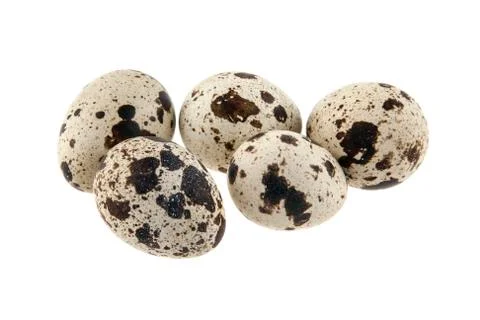 Quail egg isolated on white background Stock Photos