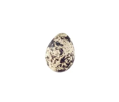 Quail egg isolated on white background Stock Photos