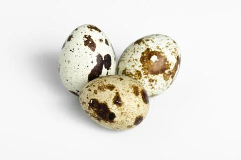 Quail egg isolated on white background Stock Photos