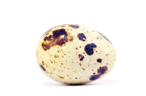 Quail egg Stock-Fotos