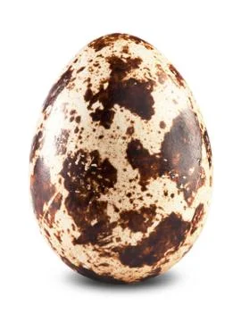 Quail egg Stock Photos