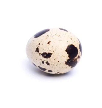 Quail egg Stock Photos