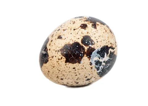 Quail egg Stock Photos