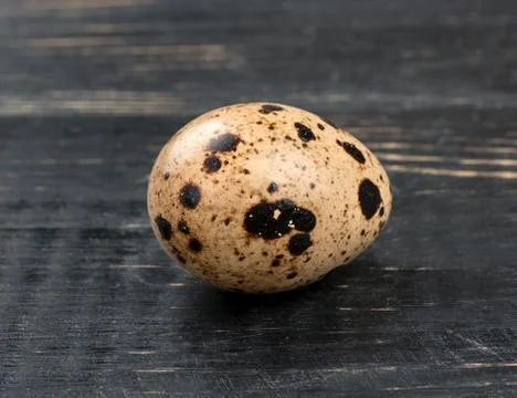 Quail egg Stock Photos