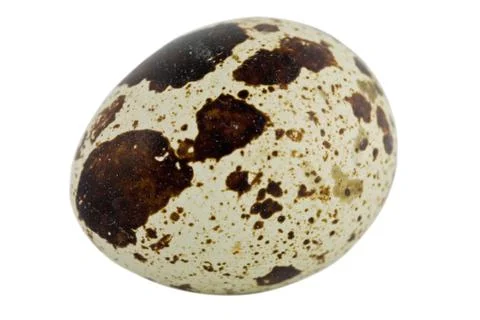 Quail egg Stock Photos