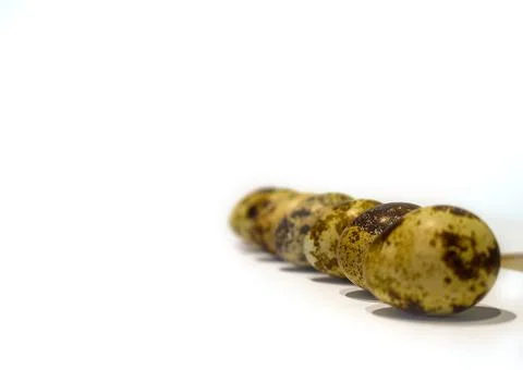 Quail egg 스톡 사진