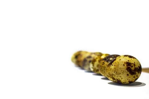 Quail egg 스톡 사진