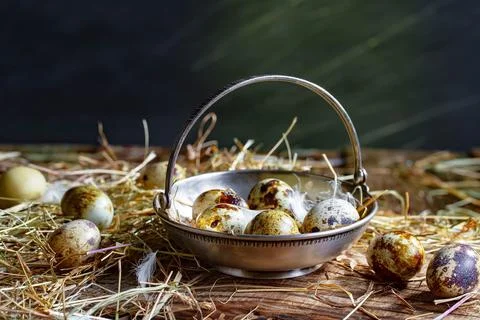 Quail egg Stock Photos