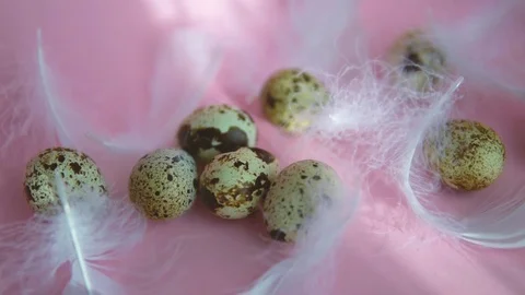 A quail egg rolls and beats against other eggs. Stock Footage 122988243