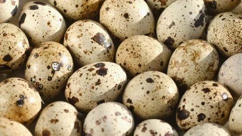 Quail egg, rotation shot, quail fresh raw eggs. Many fresh raw quail egg 4K Stock Footage 233703989