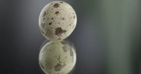 Quail egg spinning on a mirror surface Stock Footage 198345262