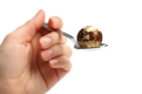 Quail egg in spoon Stock Photos