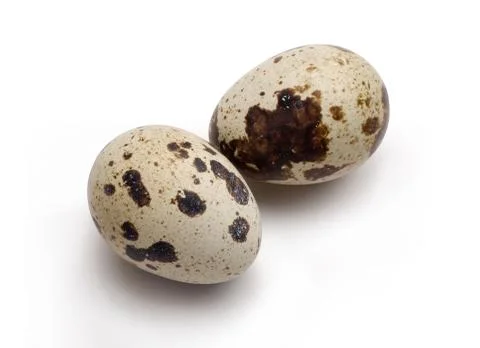 Quail egg, on white background Stock Photos