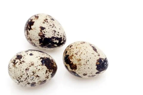 Quail egg on white background Stock Photos