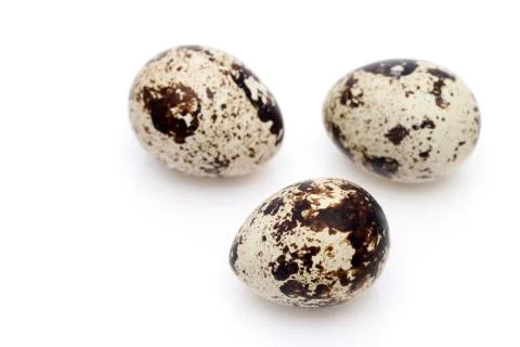 Quail egg on white background Foto stock