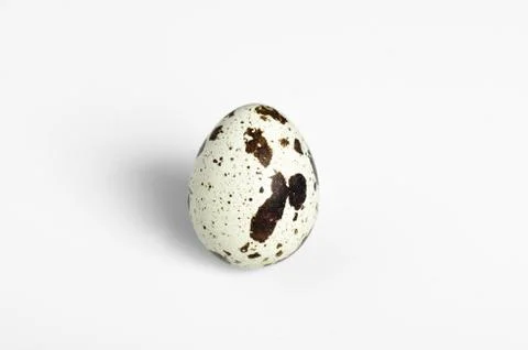 Quail egg on a white background Stock Photos