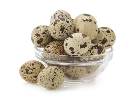 Quail egg on white Stock Photos