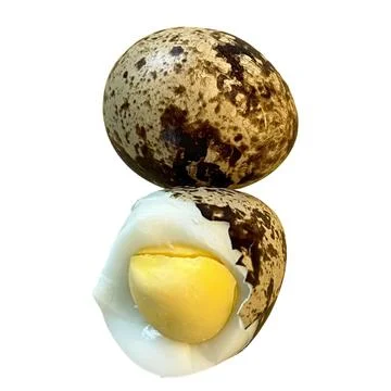 Quail eggs-03 Фото