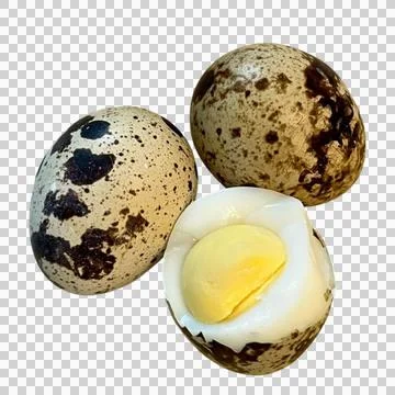 Quail eggs-05 Photos
