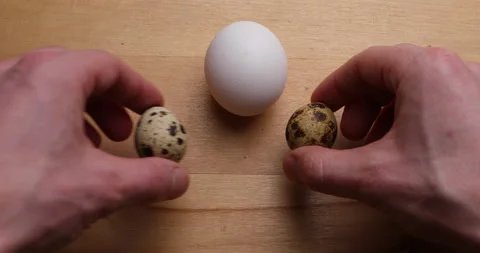 Quail eggs adding to chicken egg Stock Footage 156859027