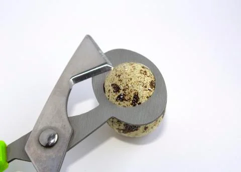 Quail eggs and scissors on a white background. Isolated. Stock Photos