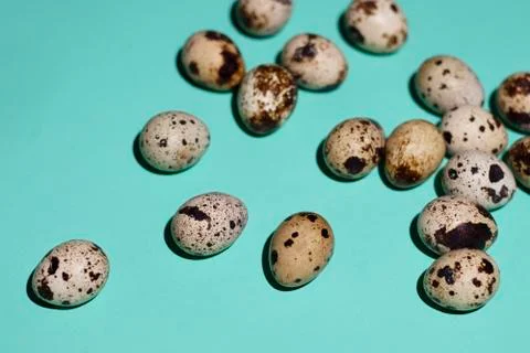 Quail eggs are randomly located on the right on a pale green background Stock Photos