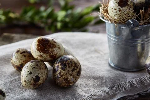 Quail eggs arranged in pyramid on a napkin with boxwood branches over a wooden Stock Photos