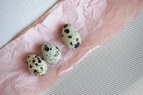 Quail eggs. Background is decorative. 库存照片