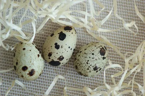 Quail eggs. Background is decorative. Stock Photos