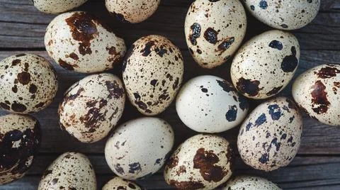 Quail eggs background, full frame Stock-Fotos