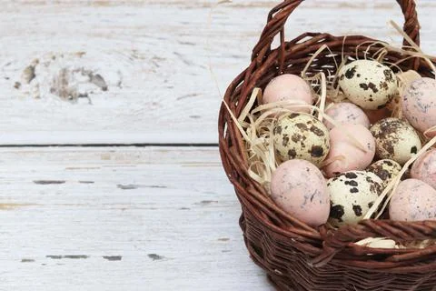 Quail eggs in a basket, easter concept Stock Photos