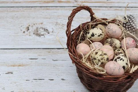 Quail eggs in a basket, easter concept Stock Photos